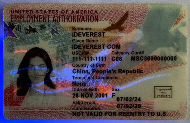 Employment Authorization Card